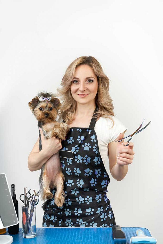 On The Go Grooming: Mobile Pet Spa Services
